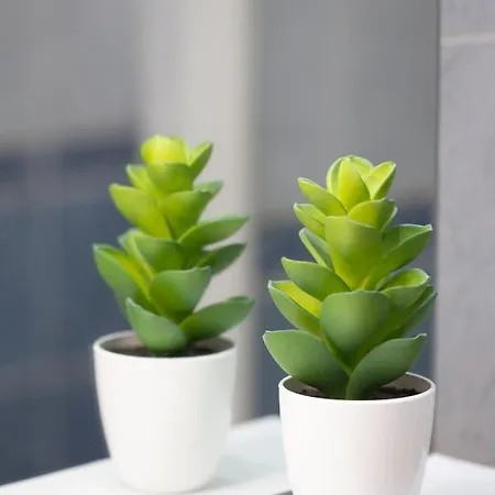 Appartamento Joli Studio Climatisé - Terrasse Vue Mer Au Calme *